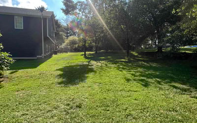 Photo of Nate R.'s yard after getting lawn care in Douglasville, GA