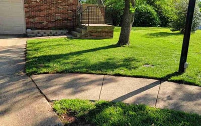 Photo of Dee T.'s yard after getting lawn care in Sterling, VA