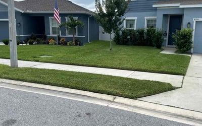 Photo of Song N.'s yard after getting lawn care in Royse City, TX