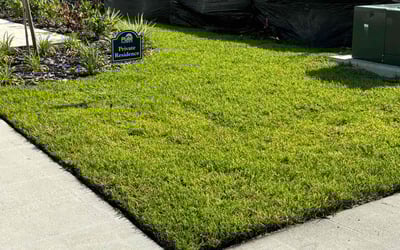 Photo of Janet G.'s yard after getting lawn care in Pekin, IL