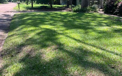 Photo of Logan E.'s yard after getting lawn care in Bellevue, WA