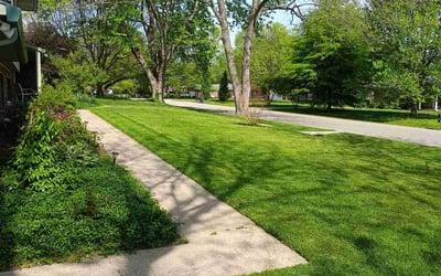 Photo of Mary C.'s yard after getting lawn care in Versailles, KY