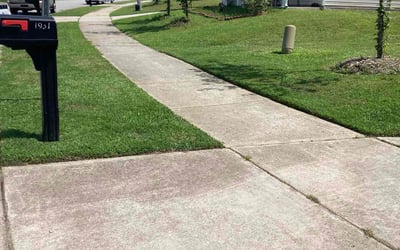Photo of Nicole H.'s yard after getting lawn care in Fillmore, CA