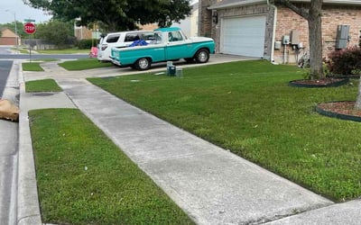 Photo of Michelle R.'s yard after getting lawn care in Smithville, TX