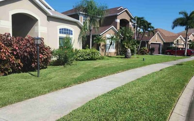 Photo of Camille R.'s yard after getting lawn care in Indialantic, FL