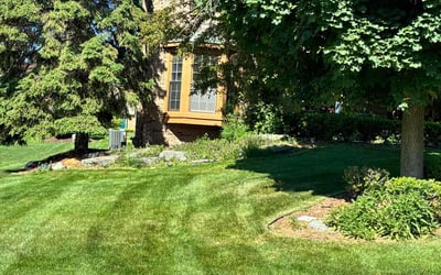 Photo of Kenan L.'s yard after getting lawn care in Commerce Township, MI