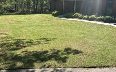 Photo of Alia M.'s yard after getting lawn care in Lawrenceville, GA