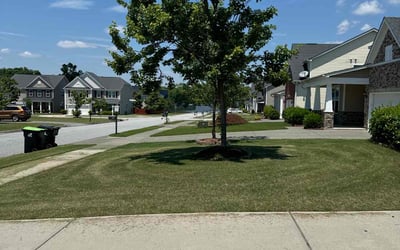 Photo of Holly G.'s yard after getting lawn care in Knightdale, NC