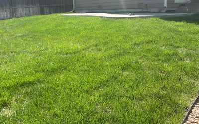 Photo of Lauran F.'s yard after getting lawn care in Commerce City, CO