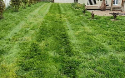 Photo of Cristobal c.'s yard after getting lawn care in Blue Bell, PA