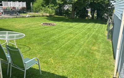 Photo of Barbara C.'s yard after getting lawn care in Bridgeville, PA