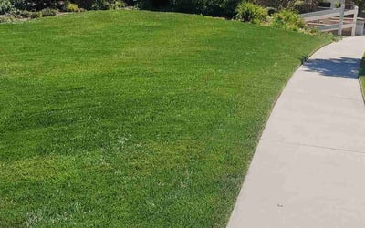 Photo of Harra L.'s yard after getting lawn care in Rancho Cucamonga, CA