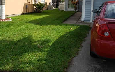 Photo of Jennifer R.'s yard after getting lawn care in Apache Junction, AZ