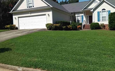 Photo of Leslie C.'s yard after getting lawn care in Petaluma, CA