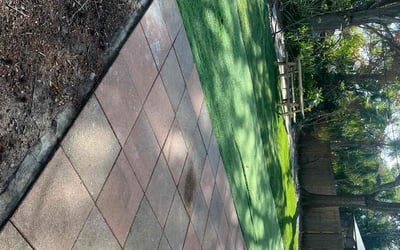 Photo of Amelie P.'s yard after getting tree care in Naperville, IL