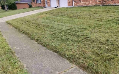Photo of Nicole P.'s yard after getting lawn care in Pinson, AL
