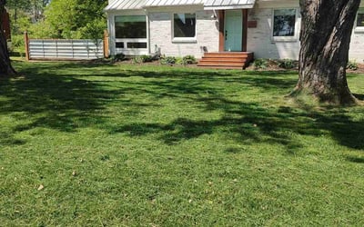 Photo of Brandon O.'s yard after getting lawn care in Nashville, TN