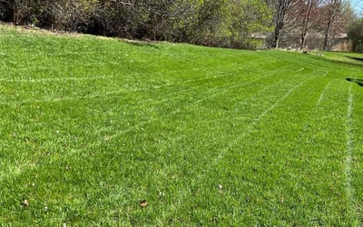 Photo of RoseLinda M.'s yard after getting lawn care in Chaska, MN