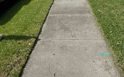 Photo of Frances K.'s yard after getting lawn care in Lanham, MD