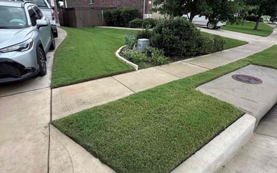 Photo of Guilherme C.'s yard after getting lawn care in Plymouth, MA