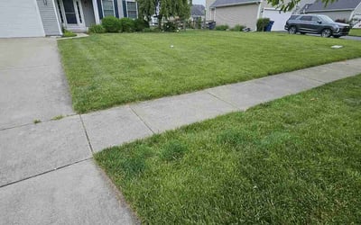 Photo of Cynthia D.'s yard after getting lawn care in Circleville, OH