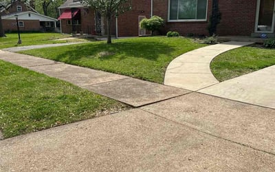 Photo of Andrea W.'s yard after getting lawn care in St. Louis, MO