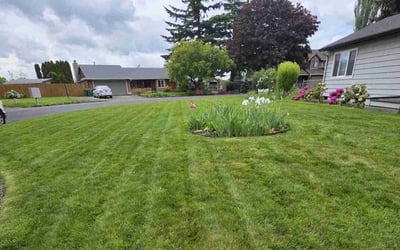 Photo of Jaclynn A.'s yard after getting lawn care in Dover, PA