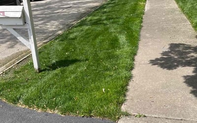 Photo of Huxley J.'s yard after getting lawn care in Orland Park, IL