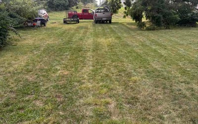 Photo of M R.'s yard after getting lawn care in Bettendorf, IA