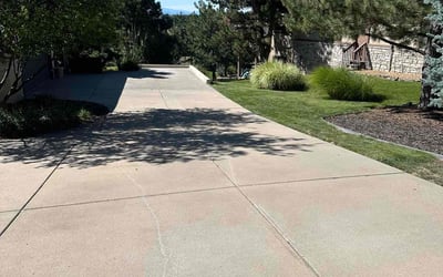 Photo of Richard M.'s yard after getting lawn care in Parker, CO