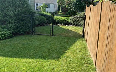 Photo of Elijah C.'s yard after getting lawn care in Salem, MA