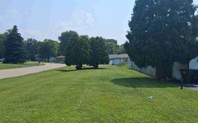Photo of Mary F.'s yard after getting lawn care in Greenbrier, AR