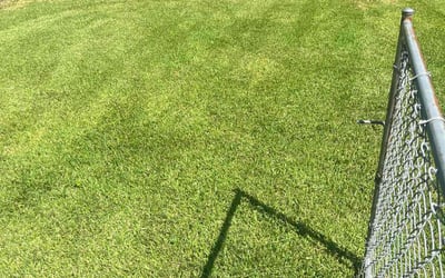 Photo of Lori L.'s yard after getting lawn care in Jasper, AL
