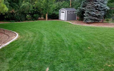 Photo of Tonnett D.'s yard after getting lawn care in Wheat Ridge, CO