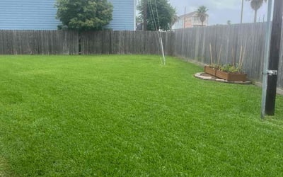 Photo of Kyle T.'s yard after getting lawn care in Galveston, TX