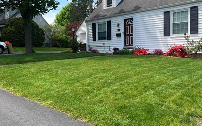 Photo of Amanda M.'s yard after getting lawn care in Weymouth, MA