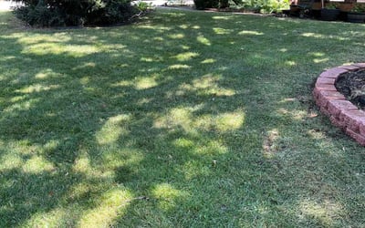 Photo of Sammy H.'s yard after getting lawn care in Merrillville, IN