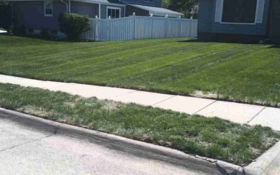 Photo of Shane W.'s yard after getting lawn care in Omaha, NE