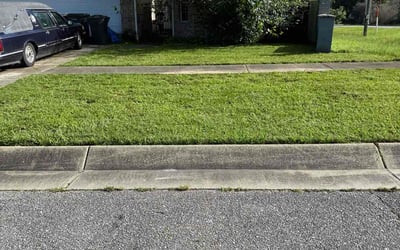 Photo of Kari O.'s yard after getting lawn care in Crosby, TX