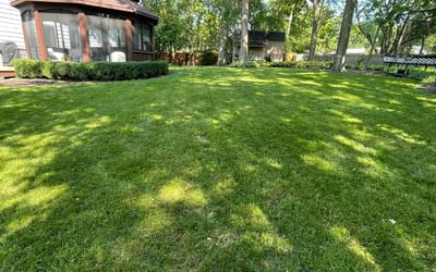 Photo of Dave N.'s yard after getting lawn care in Naperville, IL
