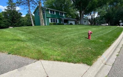 Photo of Shaneika H.'s yard after getting lawn care in Minnetonka, MN