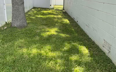 Photo of Debbie B.'s yard after getting lawn care in Romulus, MI