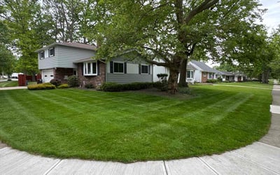Photo of Rick M.'s yard after getting lawn care in Navarre, FL