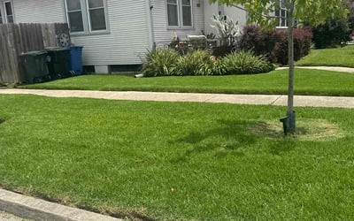 Photo of June R.'s yard after getting lawn care in Gaithersburg, MD