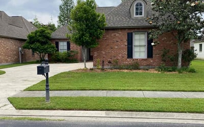 Photo of Angela K.'s yard after getting lawn care in Alexandria, LA