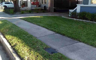 Photo of Shae C.'s yard after getting lawn care in Freeport, TX
