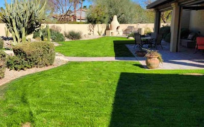 Photo of Keely G.'s yard after getting lawn care in Paradise Valley, AZ