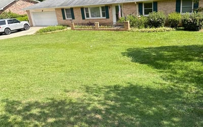 Photo of Kat M.'s yard after getting lawn care in Leesville, SC