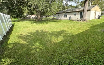 Photo of Jeff K.'s yard after getting lawn care in Paradise Valley, AZ