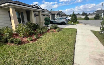 Photo of Randi A.'s yard after getting lawn care in Syosset, NY